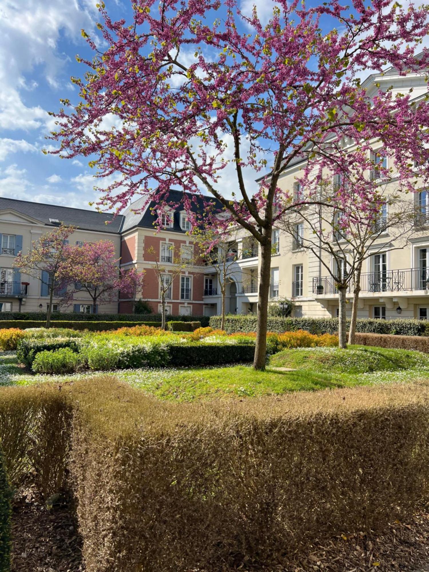 Appartement Disneyland Idealement Situe Serris Exterior foto
